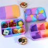 rainbow lunch box